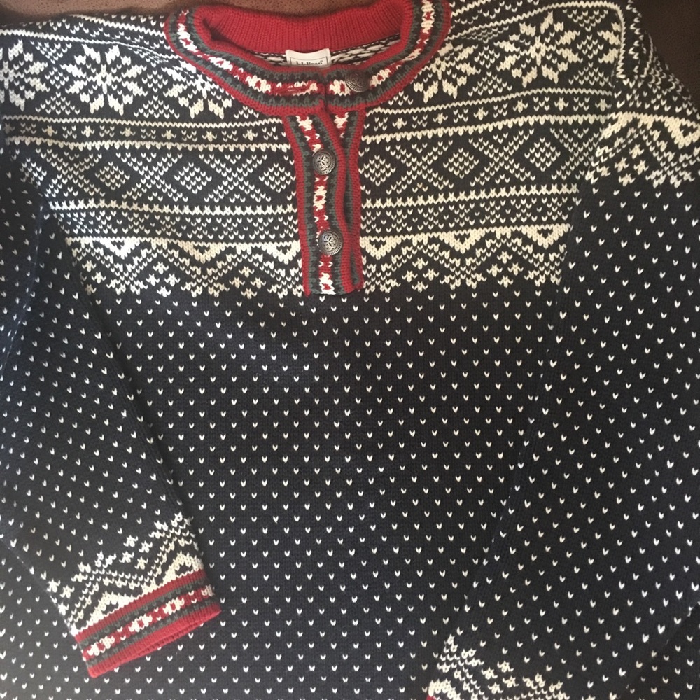 Warm Nordic LL bean sweater